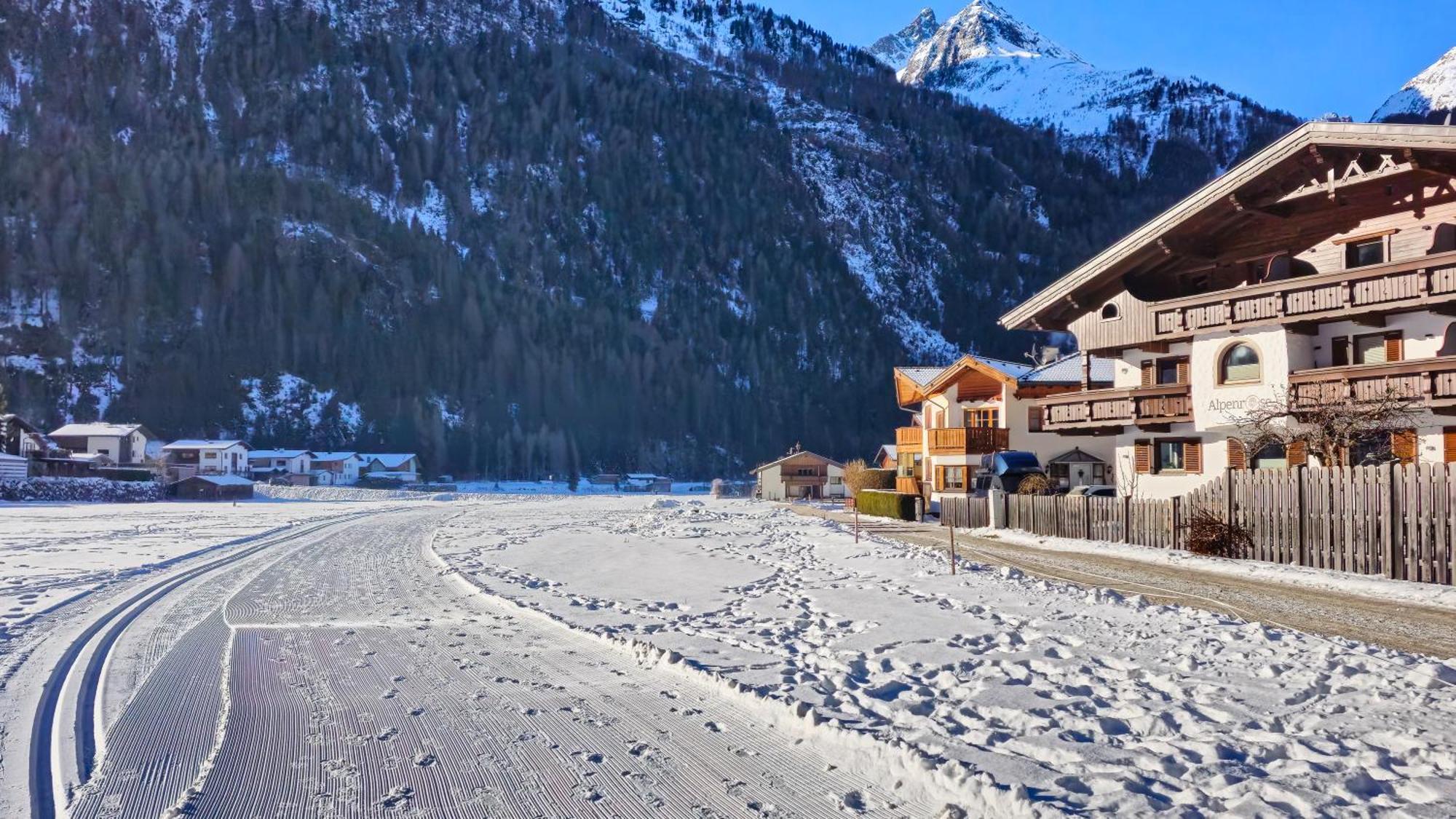 Alpenrose